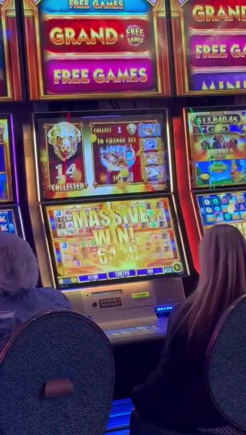 Massive win on the Buffalo slot